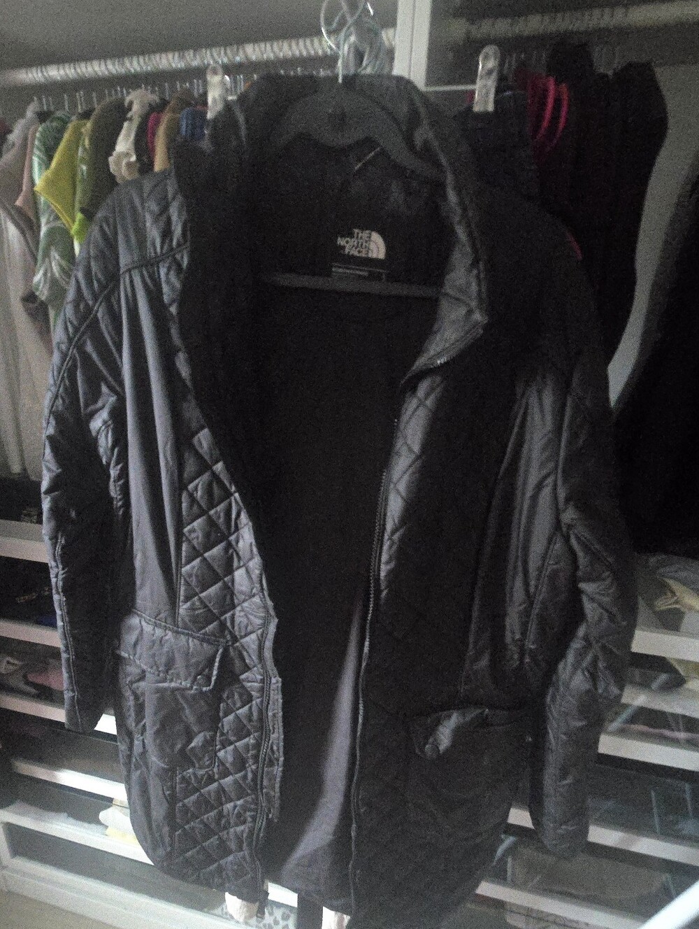 The North Face Men's Quilted Lightweight Jacket in Black